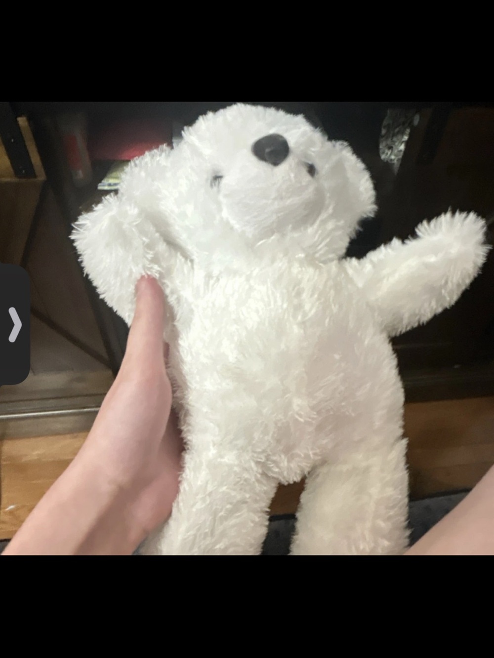 2005 gloe White Plush Teddy Bear Stuffed Animal - Soft Cuddly Companion